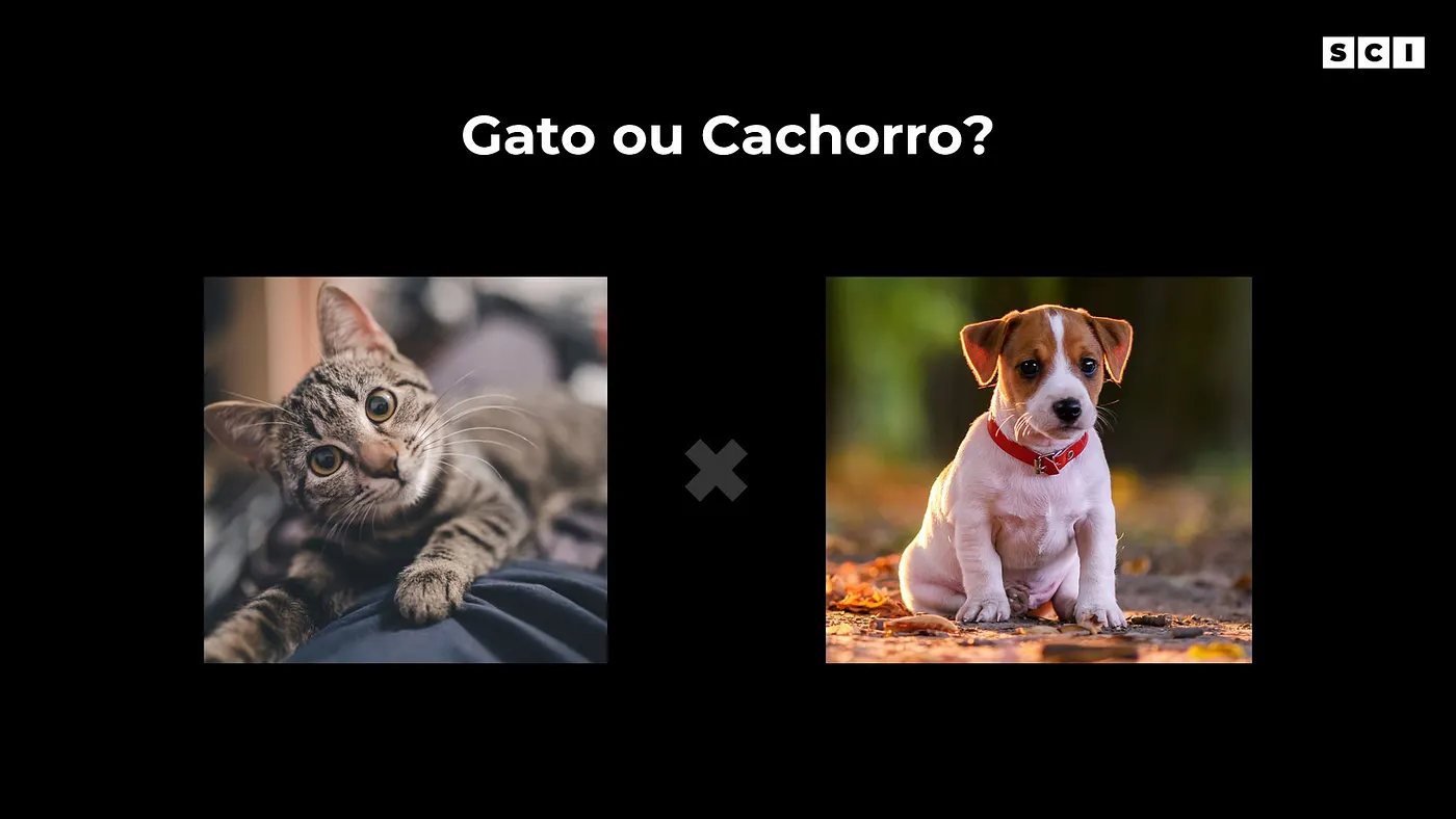 Gato ou Cachorro