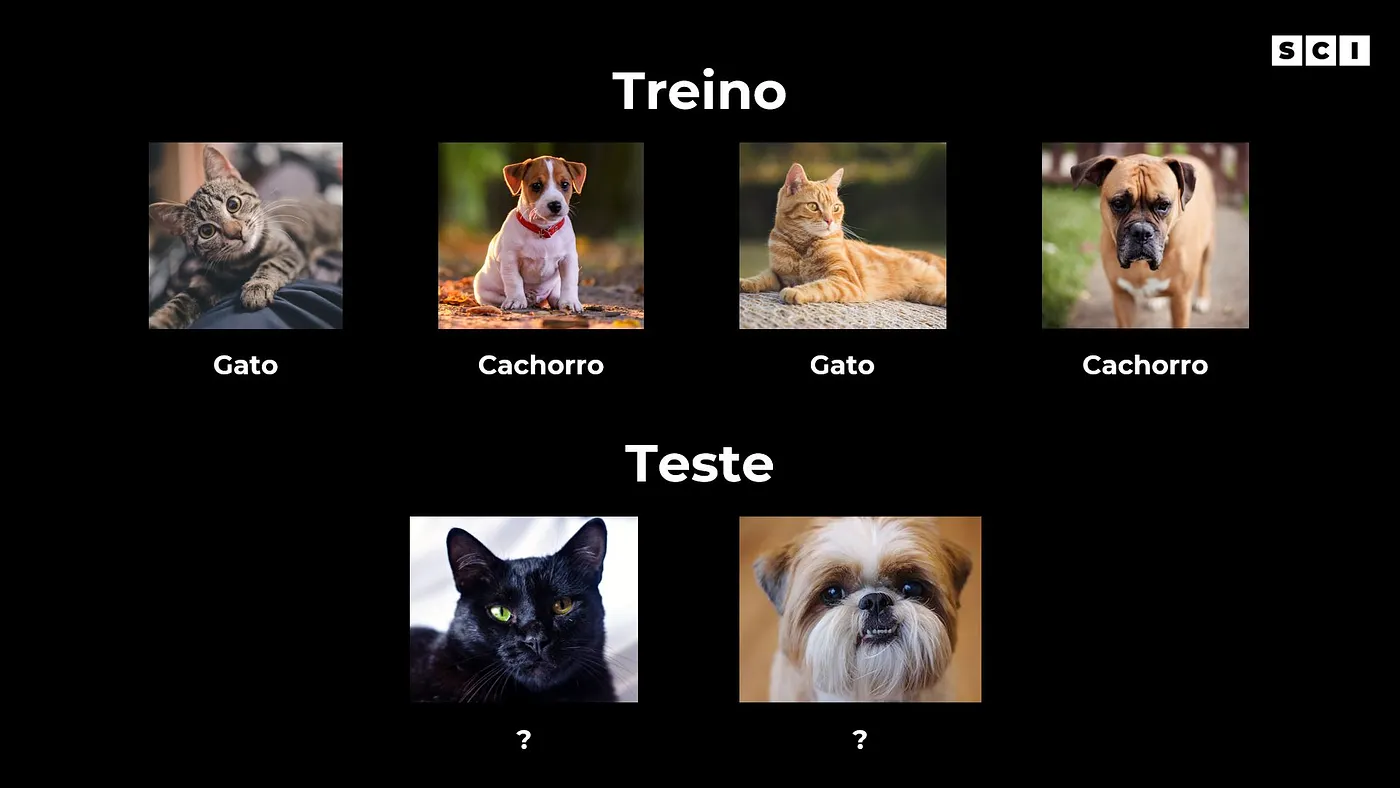 Treino